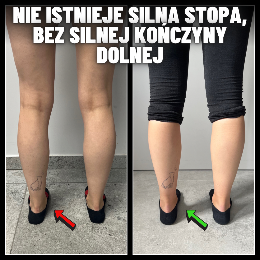 C4C4FF2D-3712-4E42-B2E8-EF0E01A15F07