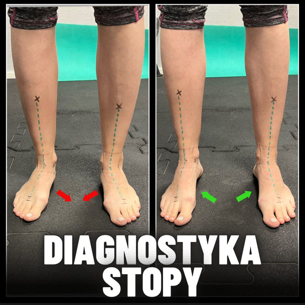 FF4653A8-9C3E-4794-9AC9-EF5A0315B416